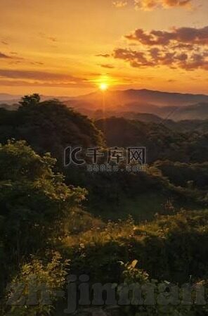 大象传媒网站18入口-探索大象传媒的多元魅力，18入口的独特视角