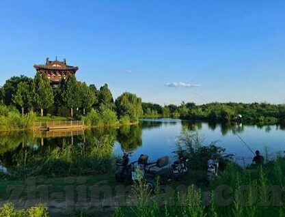 麻豆传媒的网址-麻豆传媒，数字时代的创意网络窗口