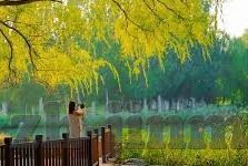 人妻熟女在线-探索人妻熟女的魅力，在线世界的独特风景