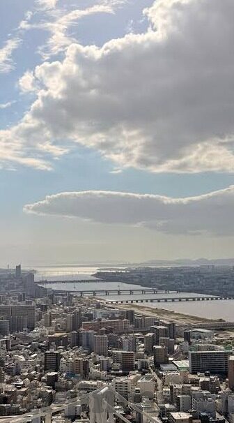 糖心app是什么软件-解密糖心app，一款受欢迎的社交娱乐平台