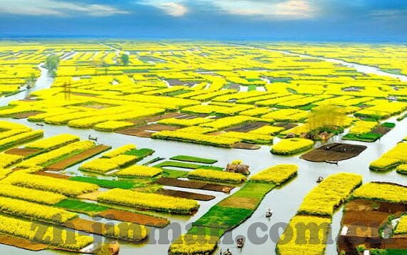 最近2019手机中文字幕7-探索2019年手机中文字幕的多样性与影响